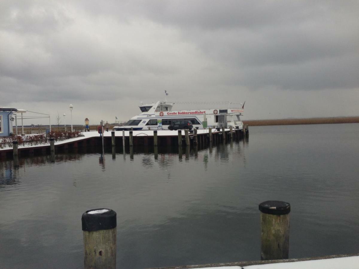 Fewo Am Alten Hafen - Zingst Ostseebad Kültér fotó
